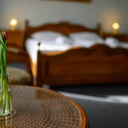 Na Zámečku Hotel 3*